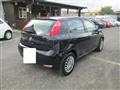 FIAT PUNTO 1.2 8V 5 porte Lounge