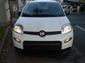 FIAT PANDA 1.0 FireFly S&S Hybrid Pandina