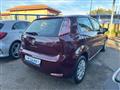 FIAT PUNTO 1.2 8V 5 porte Lounge - NEOPATENTATI