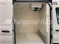 FORD TRANSIT Coibentato Isotermico Frigorifero