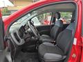 FIAT PANDA 1.0 FireFly S&S Hybrid Eas 5 posti no obbligo fina