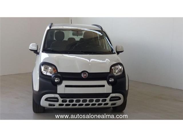 FIAT PANDA CROSS Panda Cross 1.0 FireFly S&S Hybrid