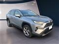 TOYOTA RAV4 V 2019 2.5 vvt-ie h Lounge 2wd 218cv e-cvt