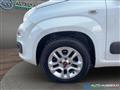 FIAT PANDA 1.2 69CV Lounge NEO PATENTATI