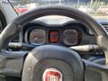 FIAT PANDA 1.2 POP NEOPATENTATI FR812NY