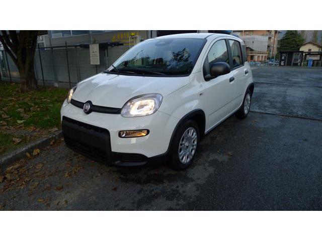 FIAT PANDA 1.0 FireFly S&S Hybrid Pandina