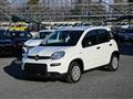 FIAT PANDA CROSS Panda My24 1.0 70cv Hybrid