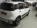 FIAT PANDA 1.0 FireFly S&S Hybrid Cross