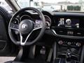 ALFA ROMEO STELVIO 2.0 Turbo 280 CV Q4