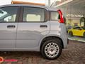 FIAT PANDA 1.2 Easy NEOPATENTATI