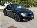 VOLKSWAGEN MAGGIOLINO Cabrio 1.2 TSI Design DSG BlueMotion Technology