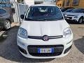 FIAT PANDA 1.2 POP NEOPATENTATI FR812NY