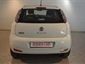 FIAT PUNTO 1.4 8V 5 porte Natural Power Easy