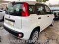 FIAT PANDA 5 POSTI sensori park+ volante multifunzione +GPL