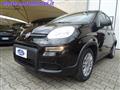 FIAT PANDA 1.0 FIREFLY 70 CV S&S HYBRID KM0