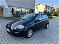 FIAT PUNTO 1.2 8V 5 porte Street IDONEA PER NEOPATENTATI