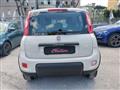 FIAT PANDA CROSS 1.3 MJT 95 CV S&S 4x4 Trekking