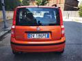 FIAT PANDA 1.2 Dynamic GPL