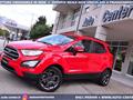 FORD ECOSPORT 1.5 Ecoblue 125 CV Start&Stop AWD Business