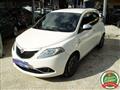 LANCIA YPSILON 1.2 69 CV 5 porte Platinum