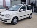 FIAT PANDA 1.3 MJT 16V DPF Dynamic