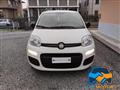 FIAT PANDA 1.2 Lounge  *DISTRIBUZIONE ESEGUITA*