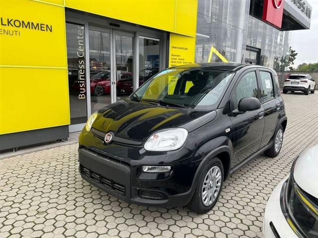 FIAT PANDA 3ª serie 1.0 FireFly S&S Hybrid