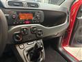 FIAT PANDA 1.2 Easy - NEOPATENTATO - UNICO PROPRIETARIO