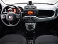 FIAT PANDA CROSS 1.0 CITY CROSS FireFly  Hybrid