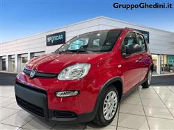 FIAT PANDA 1.0 FireFly S&S Hybrid Pandina