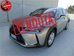 LEXUS UX Hybrid Business