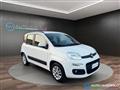 FIAT PANDA 1.2 69CV Lounge NEO PATENTATI