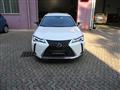 LEXUS UX Hybrid Business *NAVI*RETROCAMERA