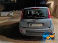 FIAT PANDA 1.0 FireFly S&S Hybrid City Life GPL