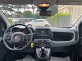 FIAT PANDA CROSS 1.0cc HYBRID 70cv ANDROID/CARPLAY BLUETOOTH CLIMA