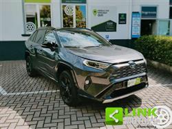 TOYOTA RAV4 2.5 HV E-CVT AWD-i Style IVA ESPOSTA