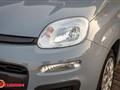 FIAT PANDA 1.2 Easy NEOPATENTATI