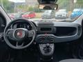 FIAT PANDA 1.0 Pandina Hybrid - KM.ZERO - PRONTA CONSEGNA