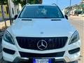 MERCEDES Classe ML 250 BlueTEC Premium