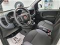 FIAT PANDA 1.3 MJT 95 CV S&S 4x4