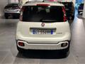 FIAT PANDA CROSS Panda Cross 1.0 FireFly S&S Hybrid