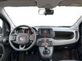 FIAT PANDA III 2021 1.0 firefly hybrid City Life s&s 70cv 5p.ti