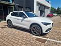 ALFA ROMEO STELVIO 2.2 Turbodiesel 210 CV AT8 Q4 Veloce