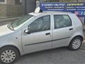 FIAT PUNTO Classic 1.2 5 porte Active GPL