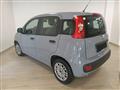 FIAT PANDA 3ª serie 1.0 FireFly S&S Hybrid