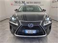 LEXUS NX Hybrid 4WD LUXURY