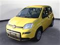 FIAT PANDA 1.0 FireFly S&S Hybrid Pandina