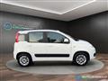 FIAT PANDA 1.2 69CV Lounge NEO PATENTATI