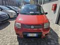 FIAT PANDA VAN Panda 1.2 Climbing 4x4 OK NEO PATENTATO