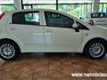 FIAT PUNTO 1.3 MJT 95CV S&S 5 porte Van 4 posti N1  51000km